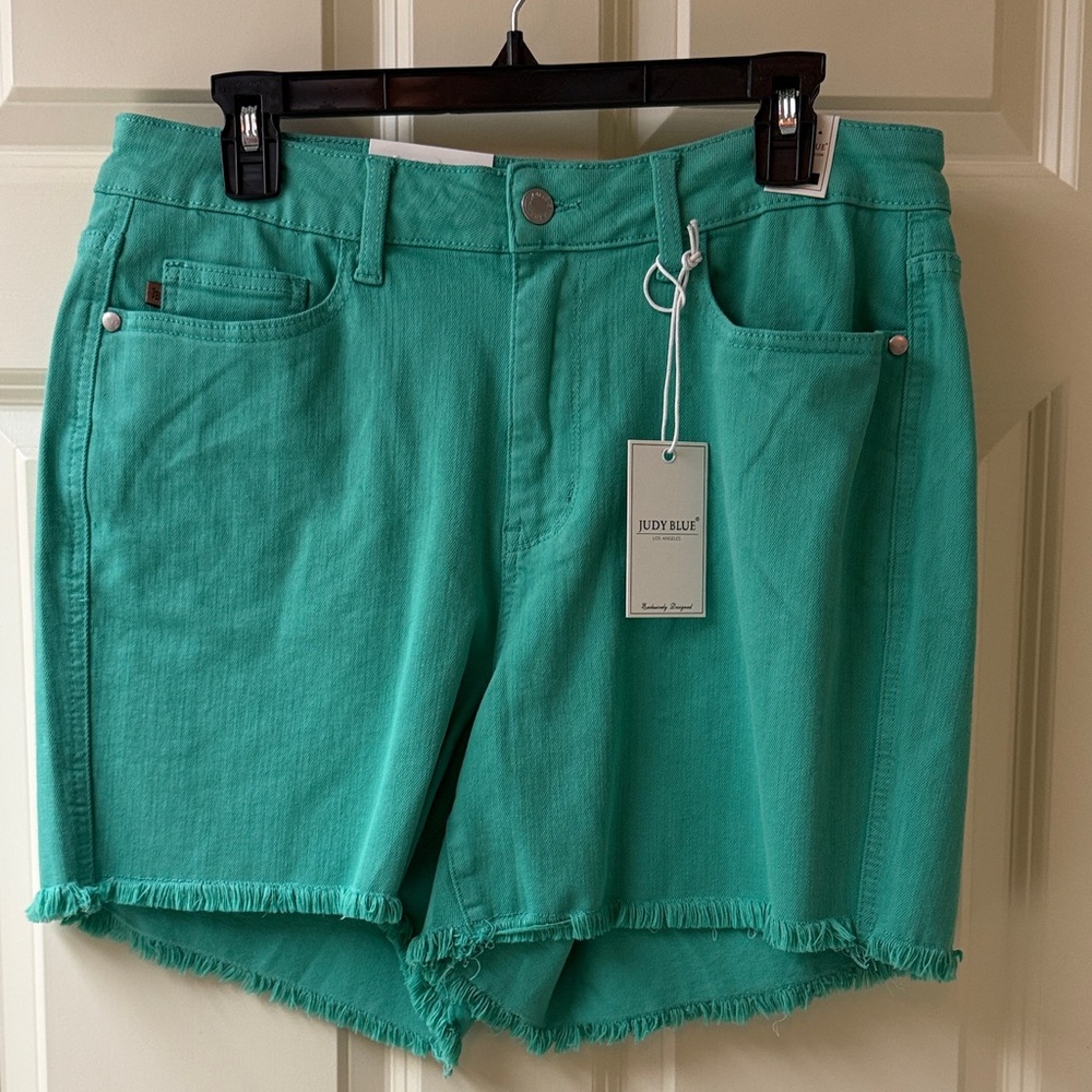Judy Blue Teal Green Frayed Hem Jean Shorts